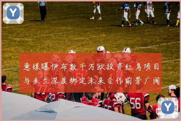 意媒曝伊布数千万欧投资红鸟项目与米兰深度绑定未来合作前景广阔